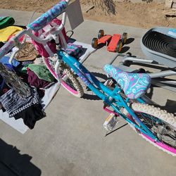 Girls Bike (BRAND NEW)