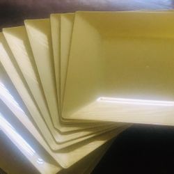 Lime Green Plastic Dinner Plates. Use Out Of Doors Or Underneath Paper Plates.