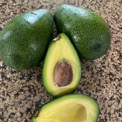 Aguacates/Avocados