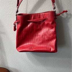 DKNY Purse (Bucket Tote)