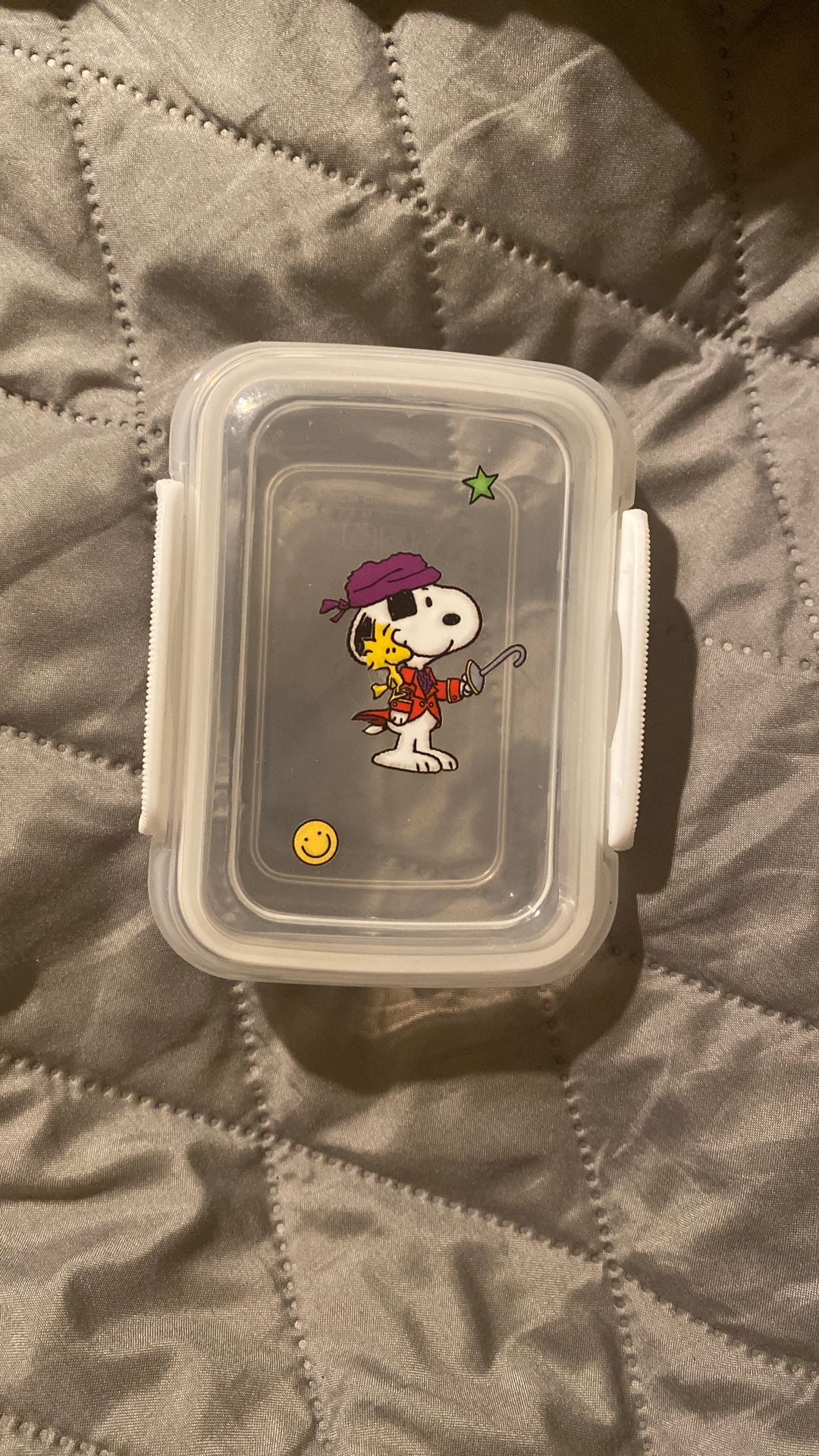 Snoopy Container