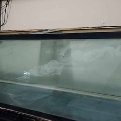 135 Gallon Aquarium