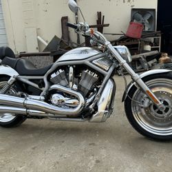 2002 Harley V Rod 