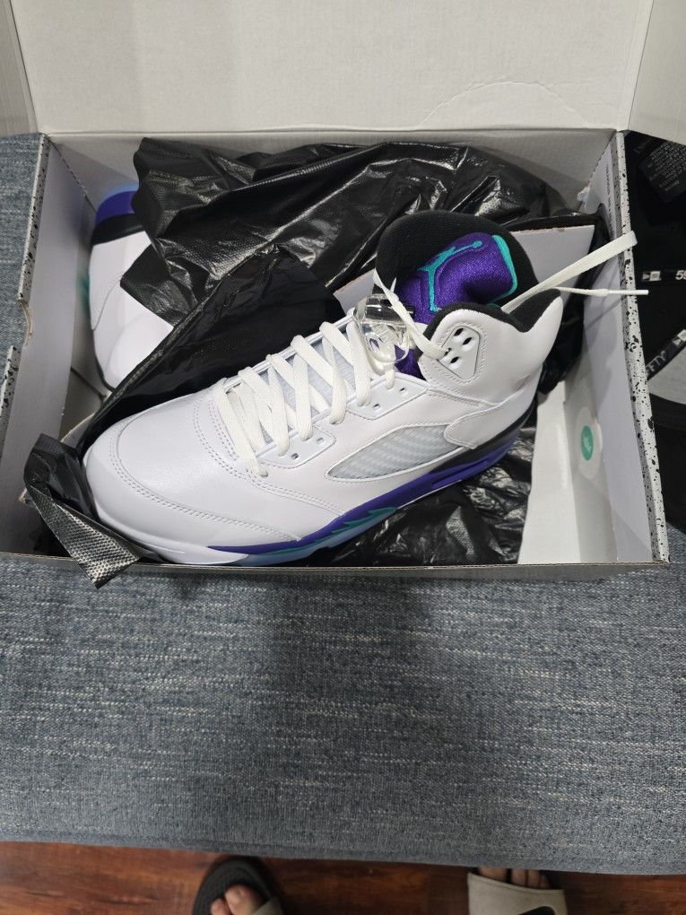 Air Jordan 5 Grape