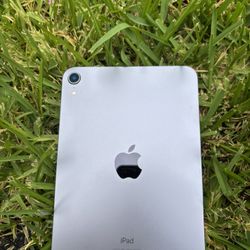 Ipad mini Purple