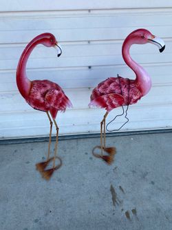 Flamingos $30 por los 2
