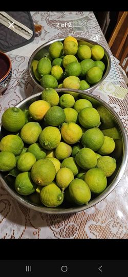 Organic Lemons for sale