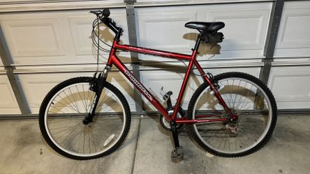 Mountain Bike men's 22"