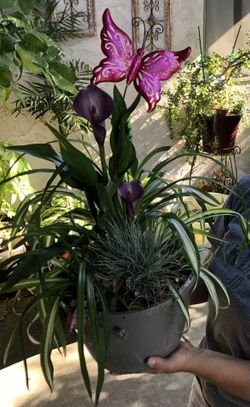 Flower Arrangement