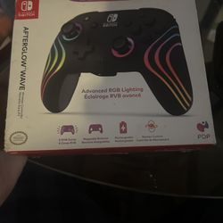 Nintendo Switch Controller