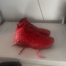 Lebron james basketball shoes