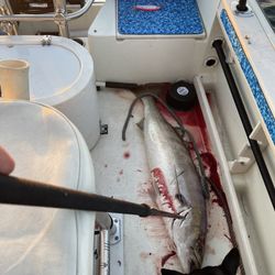 Bait Tank 26 Gallon Moeller