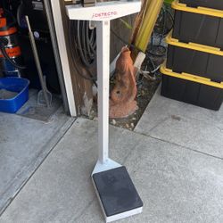 Profesional Scale In great Conditions