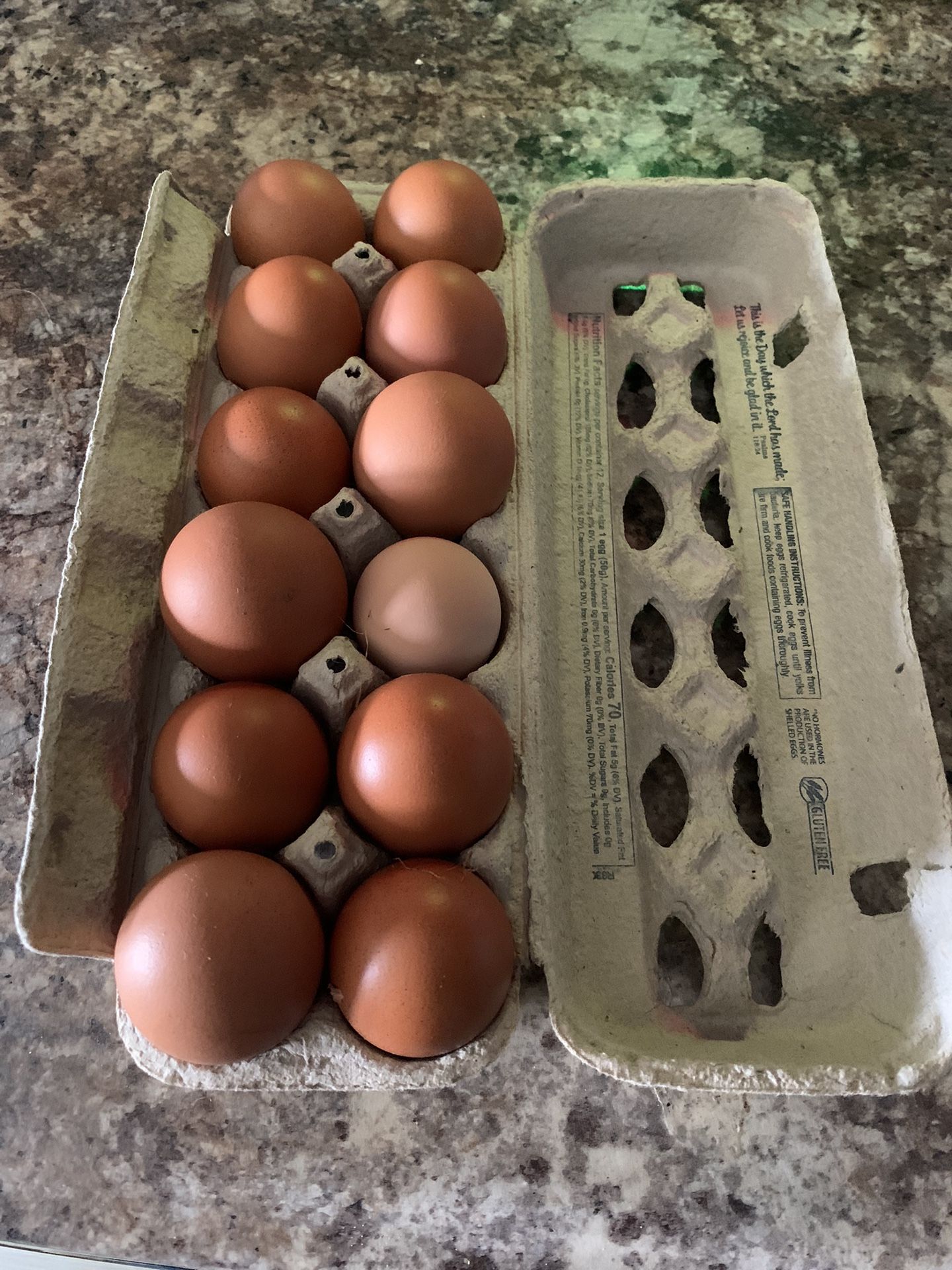 Farm Fresh Free Range Eggs