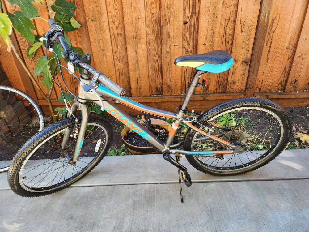 Giant XTC Jr Bike