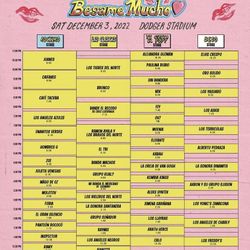 Besame mucho fest VIP