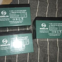 12v Battery Set