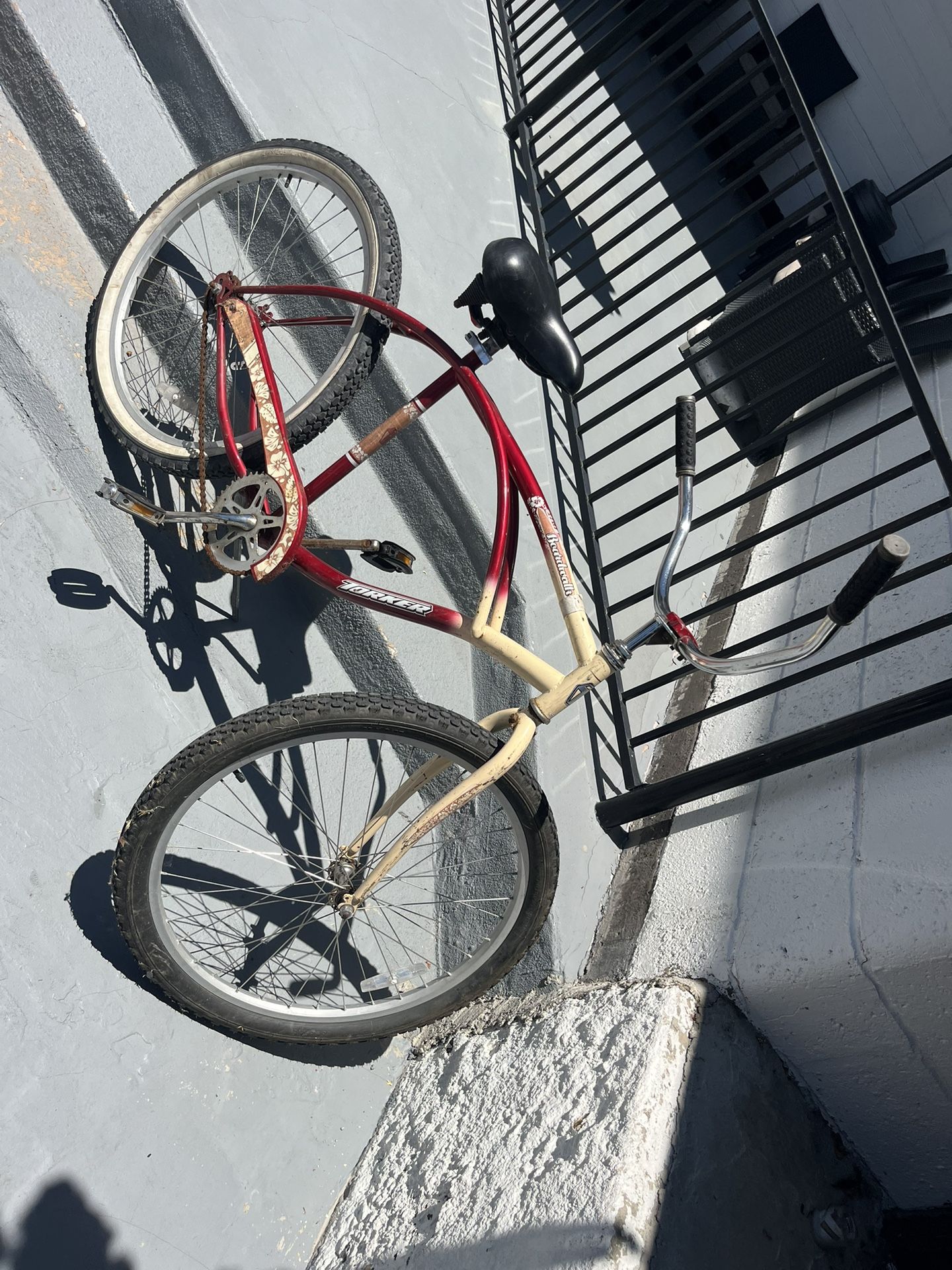 Adult Bicycle