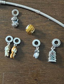 Pandora Charms