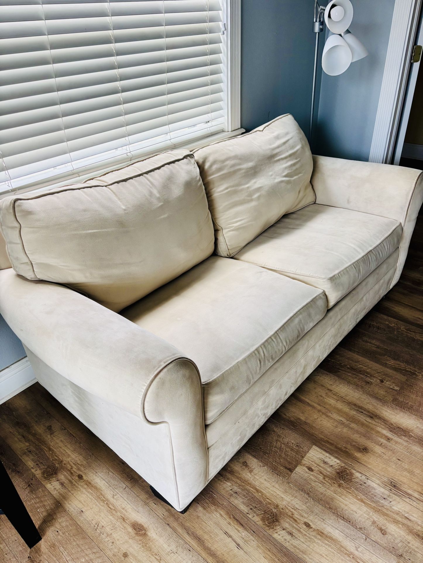 Freshly Cleaned Pullout couch
