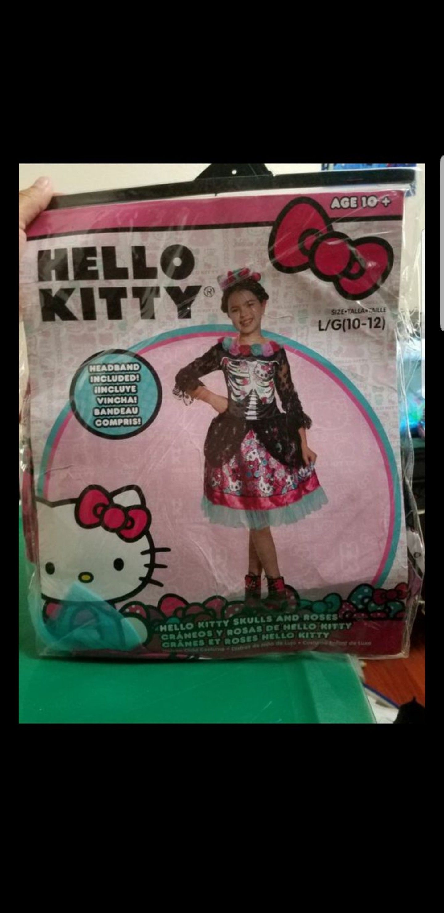 Hello kitty skulls and Rose's costume