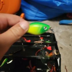 Crankbait