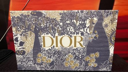 Woman’s Christian’s Dior shoe