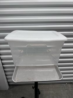 Store containers