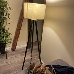 Lámpara Alta Aproximadamente Cinco Pies