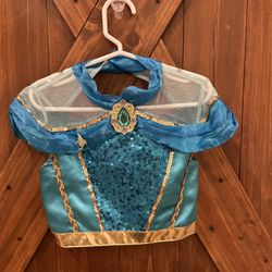 Disney Princess Jasmine Costume – Kids Size 5/6