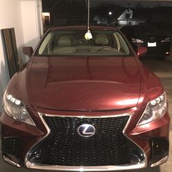 2008 Lexus LS