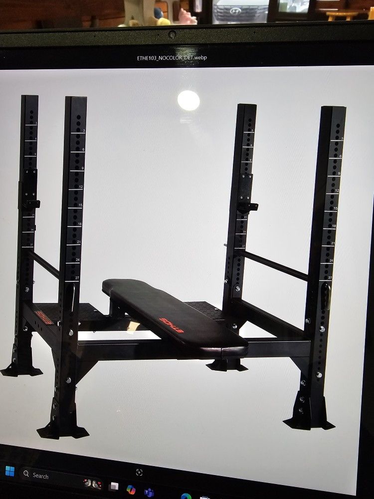 Bench Press With Fitness Gear 300 LB