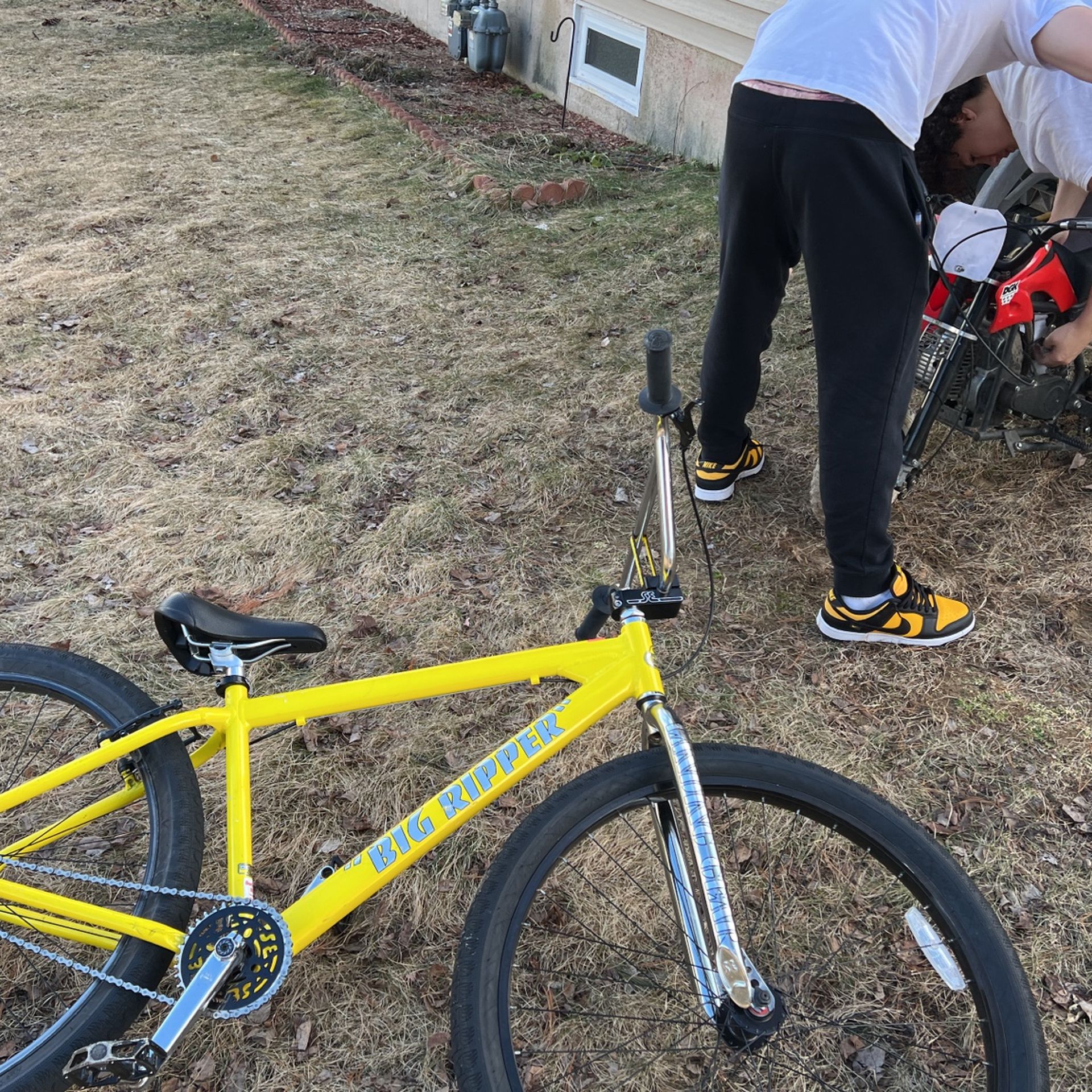 big flyer se bike