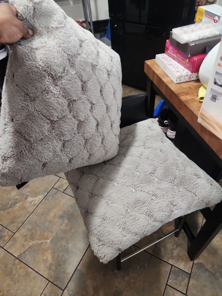 Feather 🪶 Couch pillows