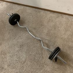 Curl Bar + 55 Pounds of Weight Plates