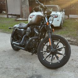 2019 Harley Davidson Iron 883