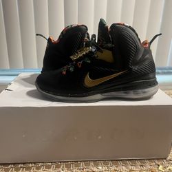 Nike LeBron 9 WTT 
