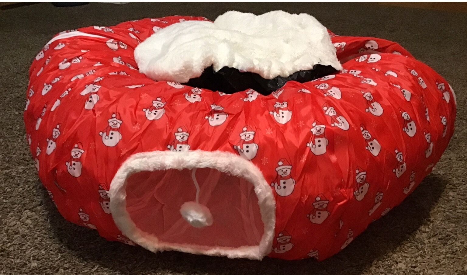 Cat tunnels