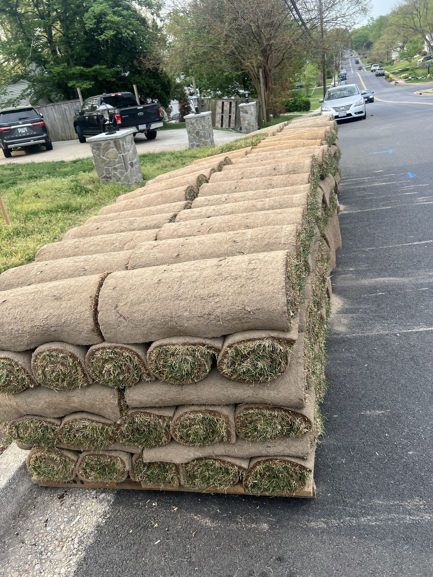 Fresh Sod