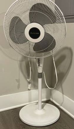 Oscillating Fan