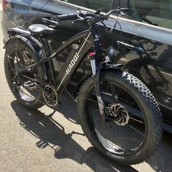 Electric Bike 1000W Fat Tires