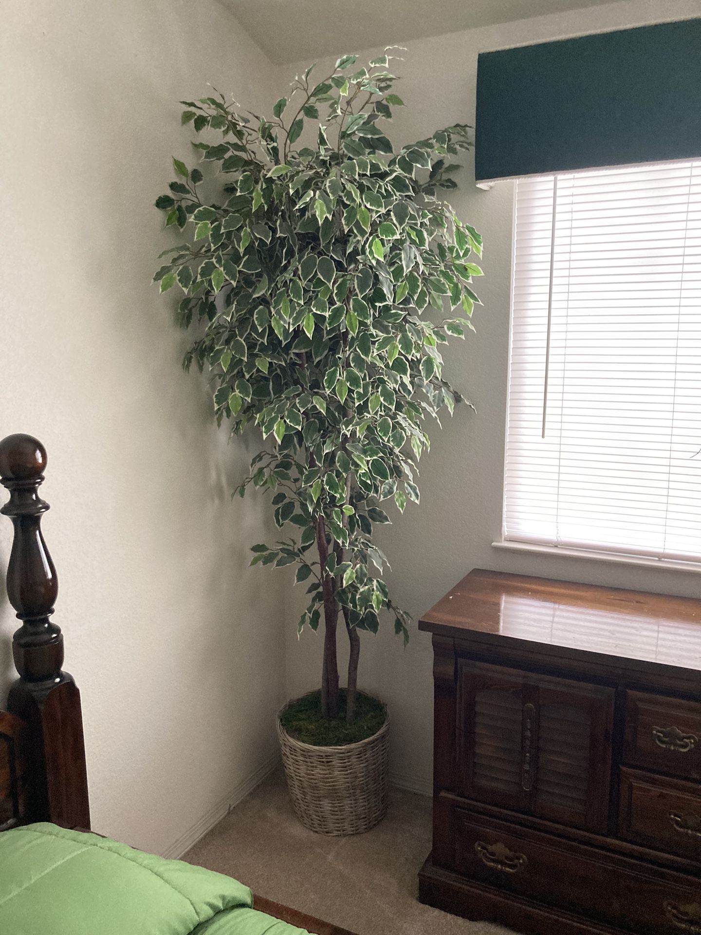 Synthetic Trees
