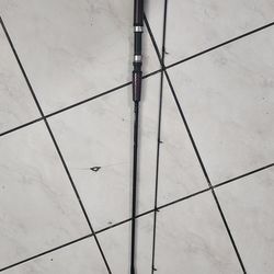 Custom Seeker Trout Rod
