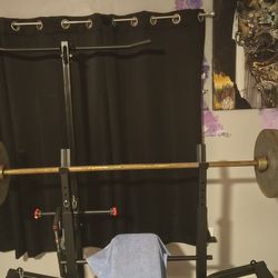 Workout Bench Disc Weights 45 Lb 25 Lb 35 Lb Olympic Bar Adjustable Bench Pull Down Attachment For Back And Leg Attachment For Legs And Preacher Curl