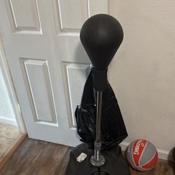 Punching Bag