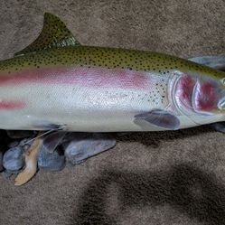 Rainbow Trout Replica 37 Inches 