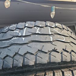 31/10.5/15 Single Falcon