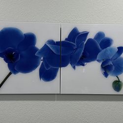 Juego De Dos Cuadros De Material Acrílico 47” Ancho Y 23” Alto