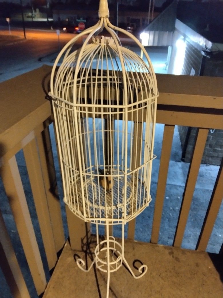 Bird Cage $15