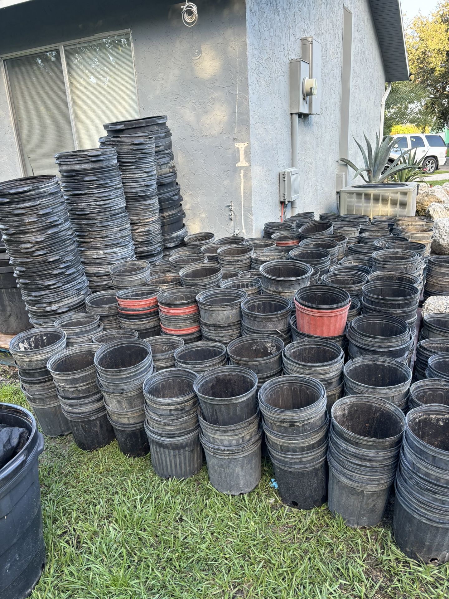 3 Gl Pots 3 For $1
